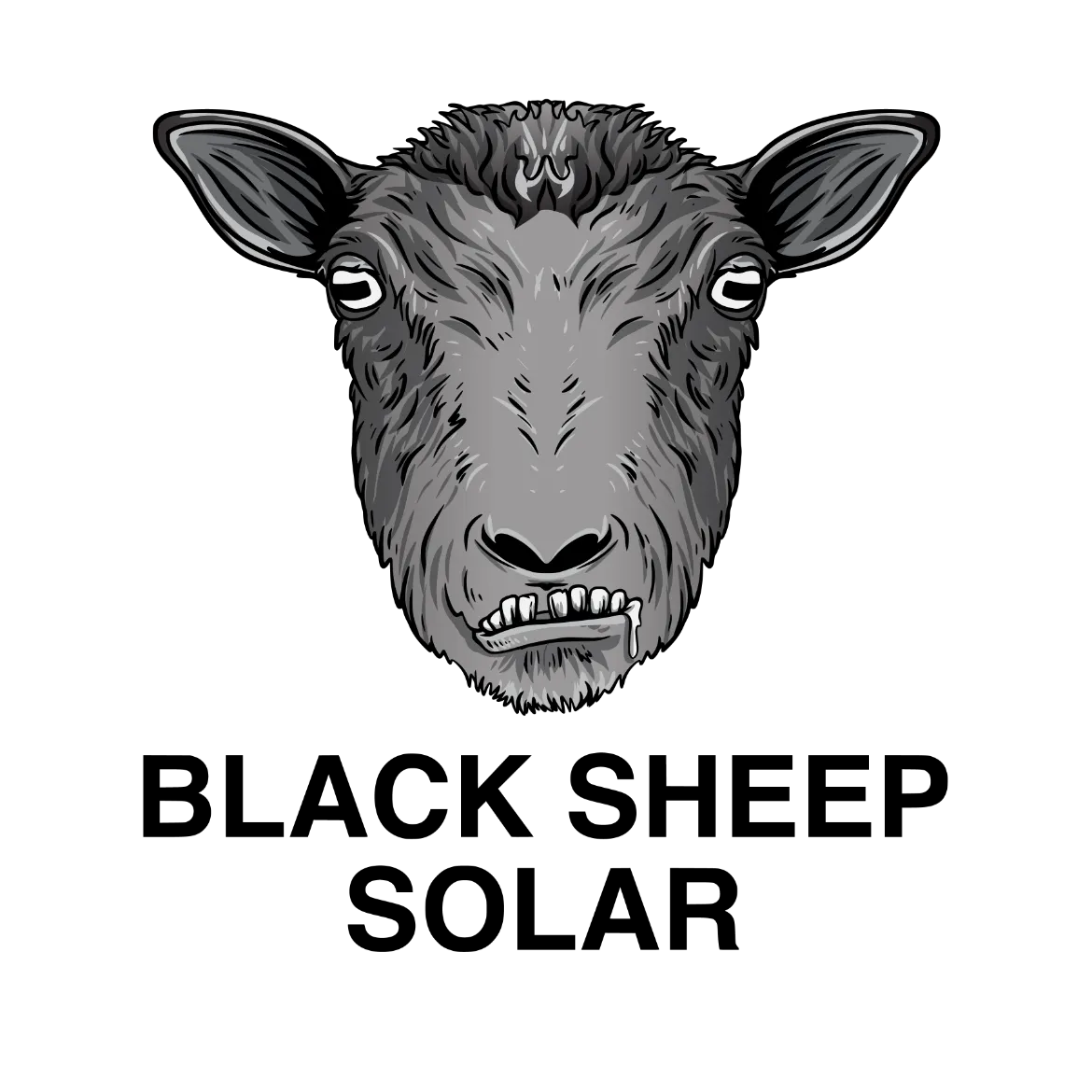 black-sheep-solar-logo